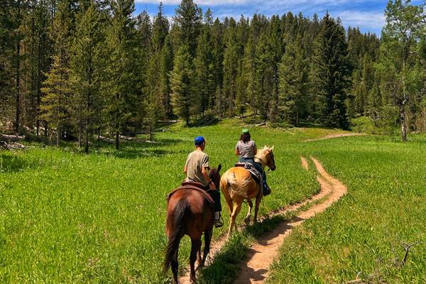 Horseback riding in Gallatin National Forest